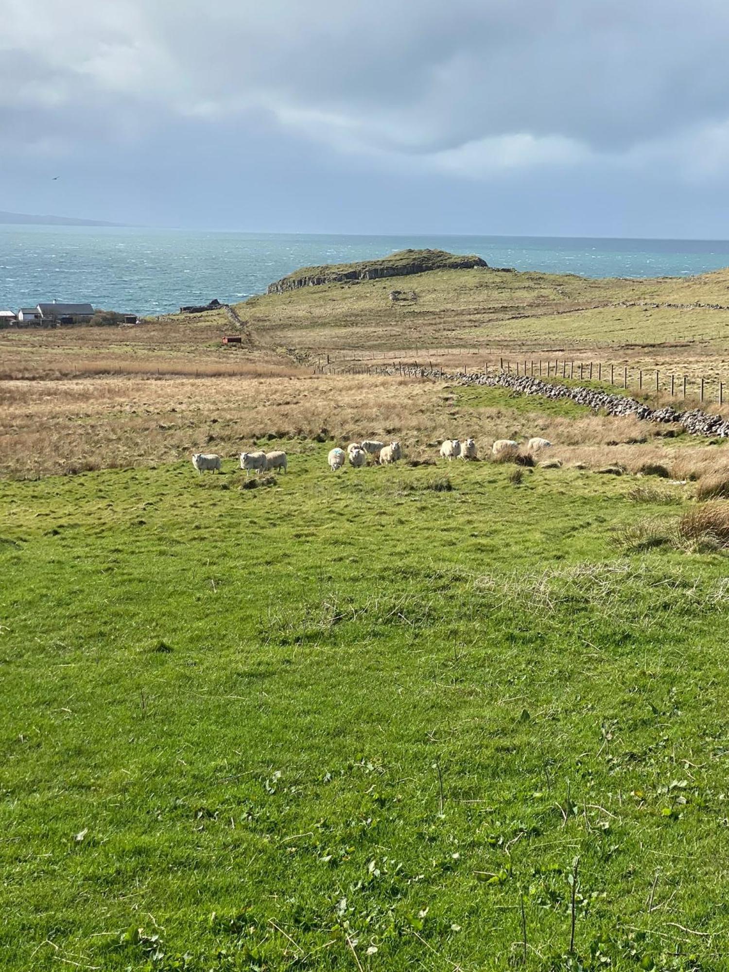 Cnoc Ruaraidh Cottage Kilmuir  Bagian luar foto